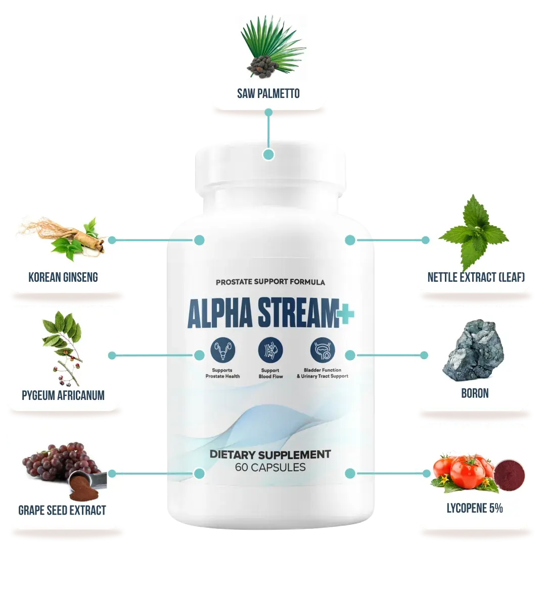 Alpha Stream Plus for health